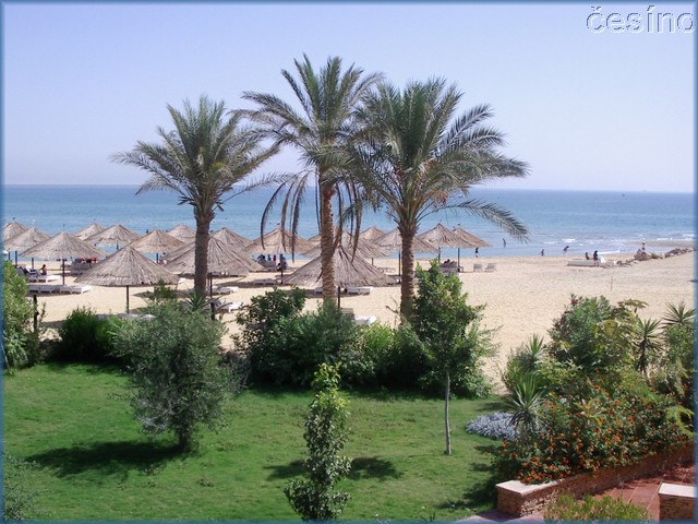 egypt_10_03_071