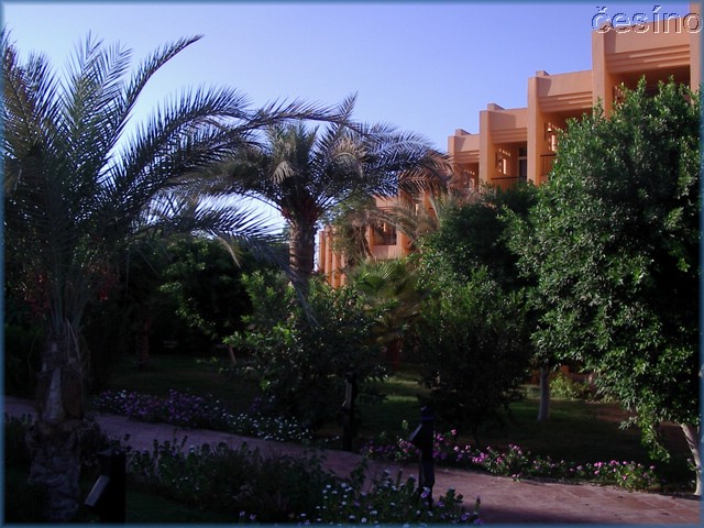 egypt_10_03_083