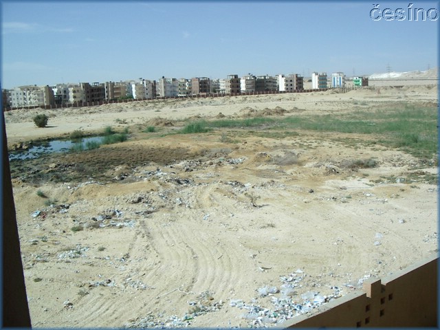 egypt_10_03_107