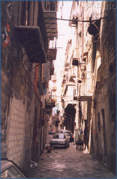 palermo174